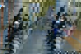  Pazite se. Garje vsepovsod. Med to populacijo pa jih je največ.