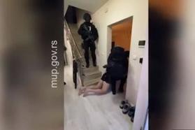 Kot v filmu: skupina, ki usposablja morilce za kavaški klan #video
