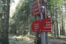 Na izlet na Pohorje, kjer boste srečali bolj malo pohodnikov